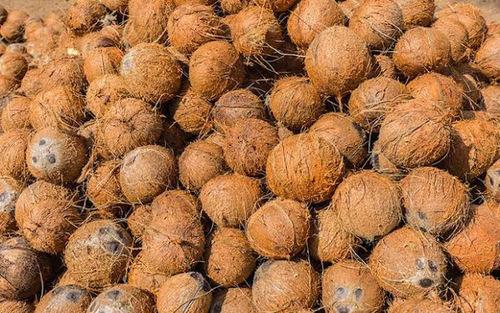 Coconut Kg