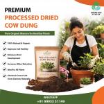 Cow Dung