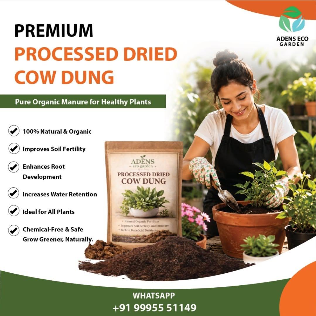 Cow Dung
