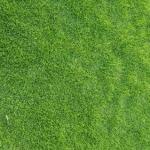 Grass Mat Sqr