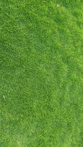 Grass Mat Sqr