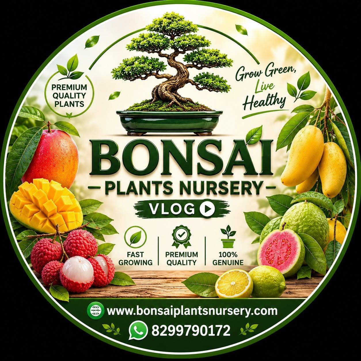 Bonsai plants nursery