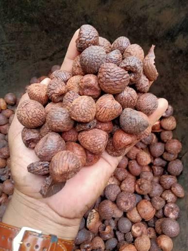 Premium Dried Arecanut