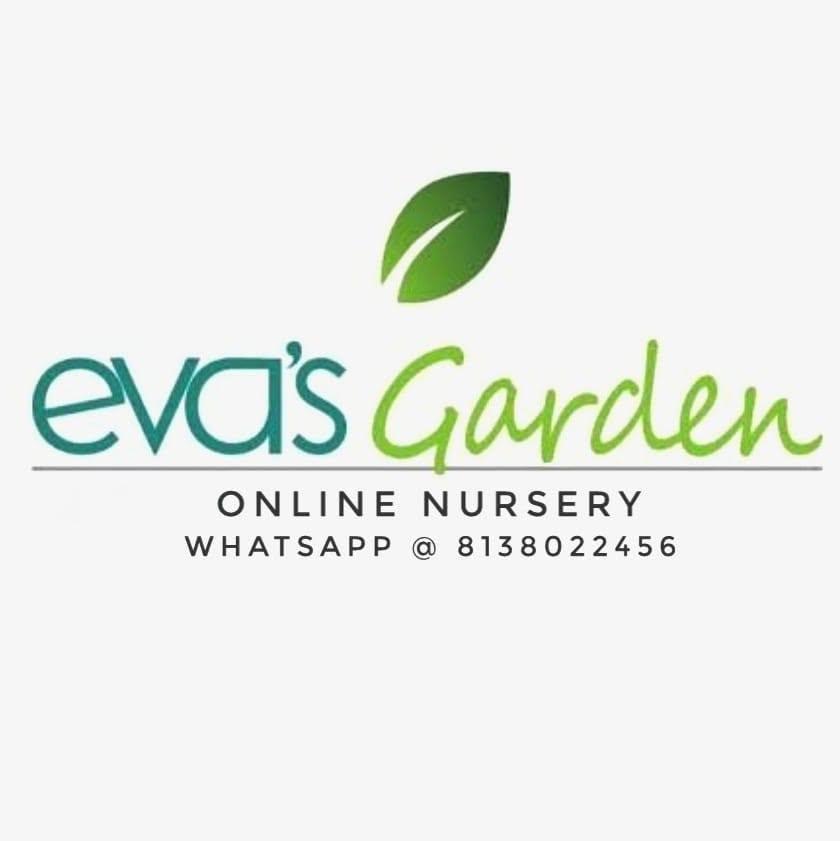 Eva's Garden