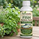 Fish Amino Acid