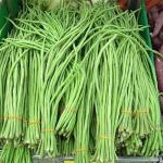 Long Bean (Nadan Payar)