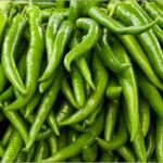Green chilly - Gundlupetu