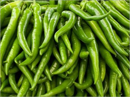 Green chilly - Gundlupetu