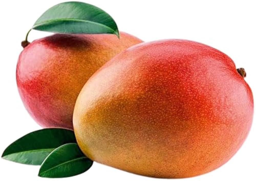 sindhooram mango plant (2feet)