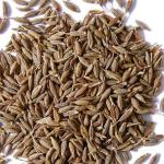 Cumin Seeds