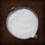 Organic A1 Cow Milk