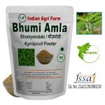Bhumi Amla powder - 450 gram