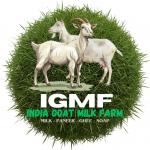 India Goat's Milk Farm