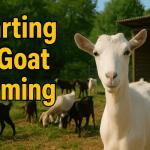 Goat Milk