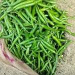 Premium Fresh Green Chilli