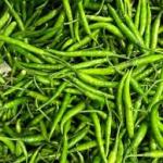Premium Fresh Green Chilli