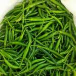 Premium Fresh Green Chilli