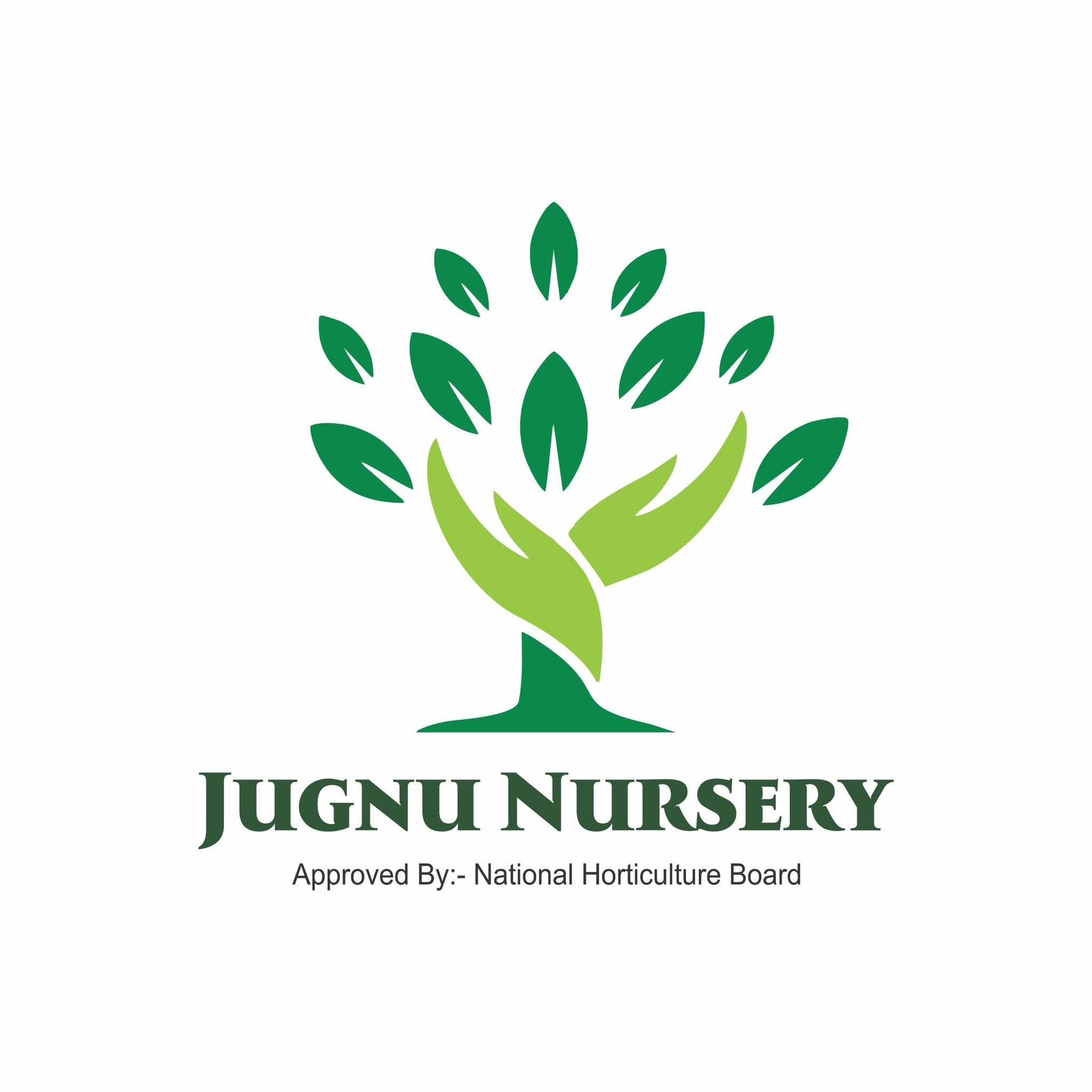 Jugnu Nursery