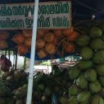 Karikku
