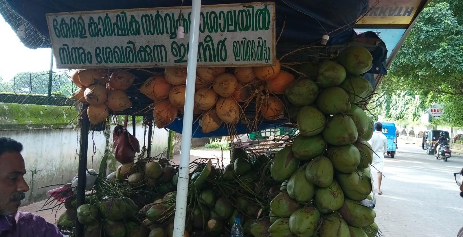Thrissur Karikku