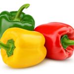 Capsicum (Bell Pepper)