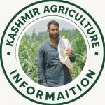 Kashmir Agriculture information organic farming