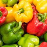 Capsicum (Bell Pepper)