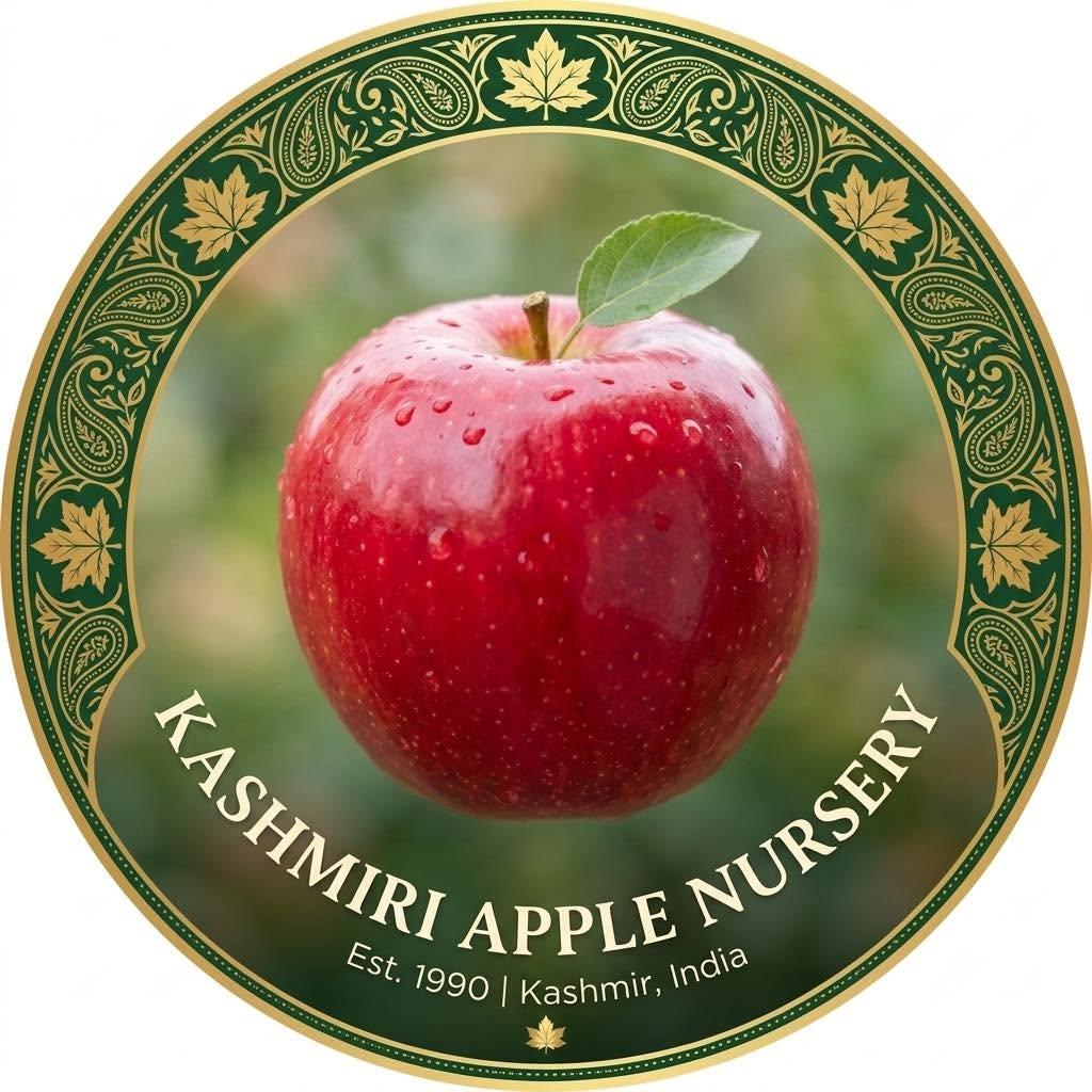 Kashmiri Apple Nursery