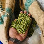 SPICE KING Premium Green Cardamom