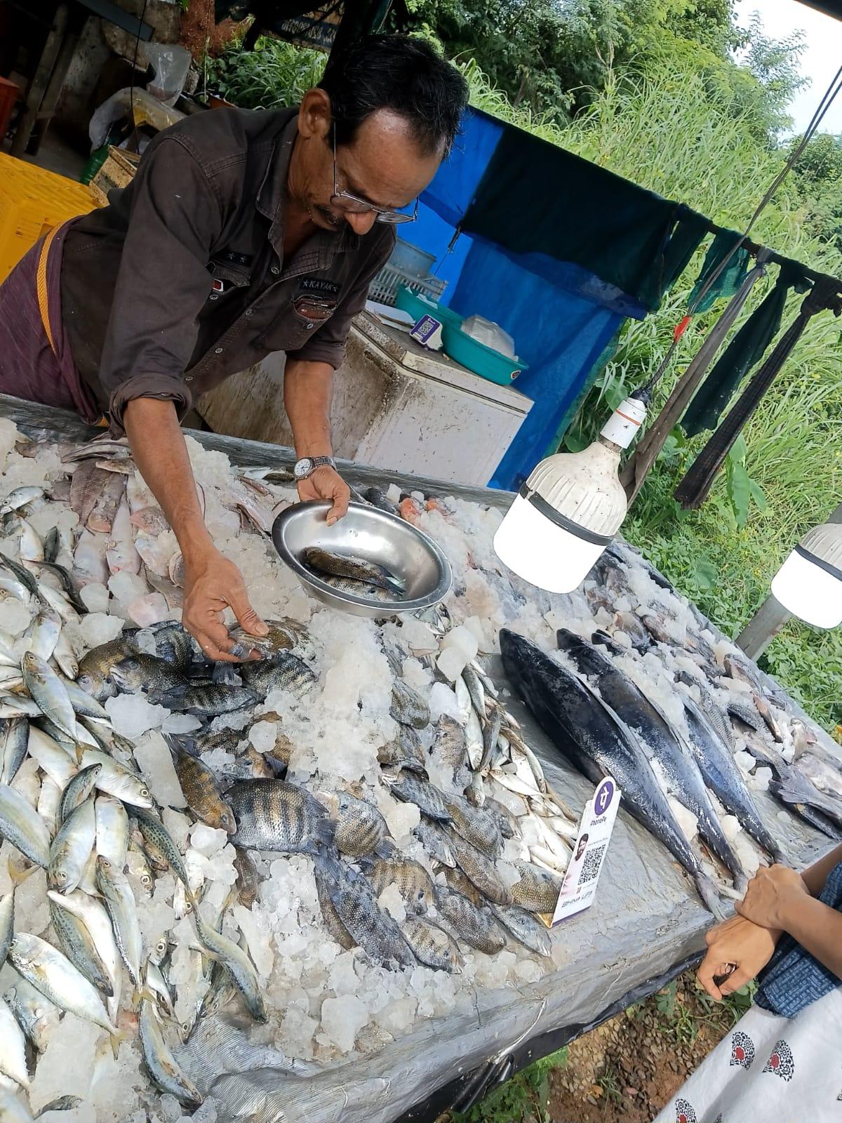 KCA Fish Mart
