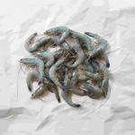 Prawns
