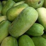 Premium Fresh Ash Gourd