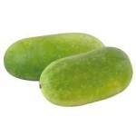 Premium Fresh Ash Gourd