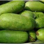 Premium Fresh Ash Gourd