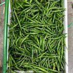 Green Chilli