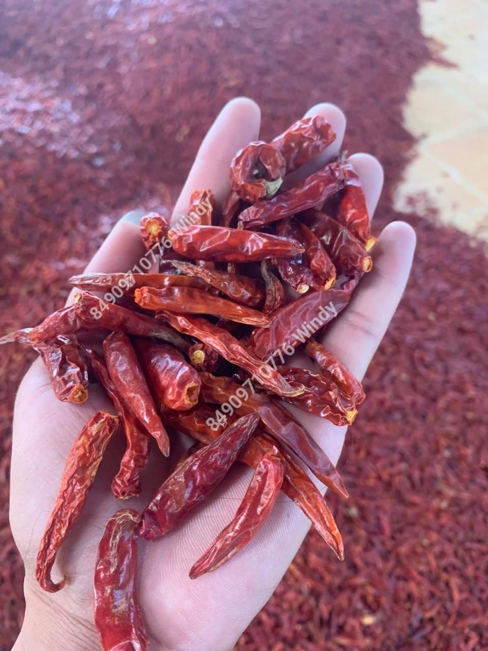 Premium Dried Red Bird's Eye Chilli