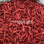 Premium Dried Red Bird's Eye Chilli