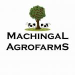 Machingal Agrofarms