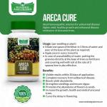 Areca Cure