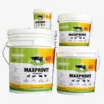 MAXPROVIT-DS Cattle Feed Supplement