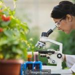 Micnelf Micronutrients Pvt. Ltd. Lab Division-Mysore, Karnataka