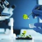 Micnelf Micronutrients Pvt. Ltd. Lab Division-Mysore, Karnataka