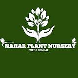 NAHAR NURSERY