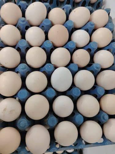 COUNTRY CHICKEN EGGS