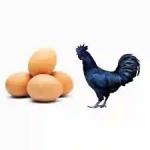 COUNTRY CHICKEN EGGS