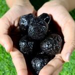 Dried Black Plum
