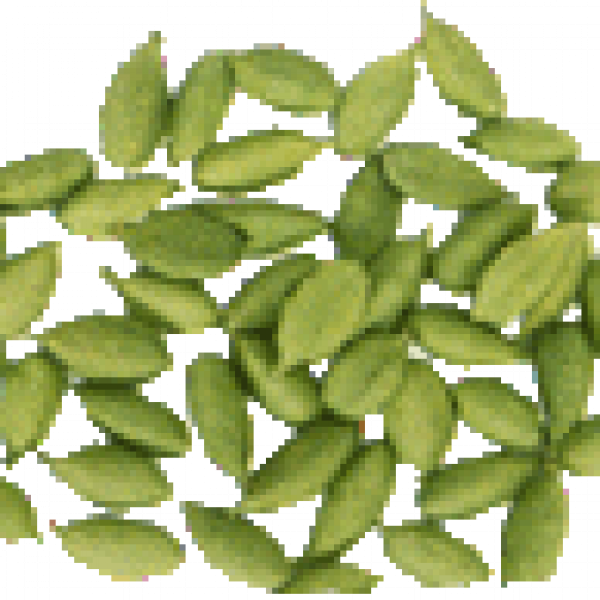 Cardamom