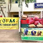 Organic Farmers Market
