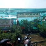 Oxygen Garden Nursury