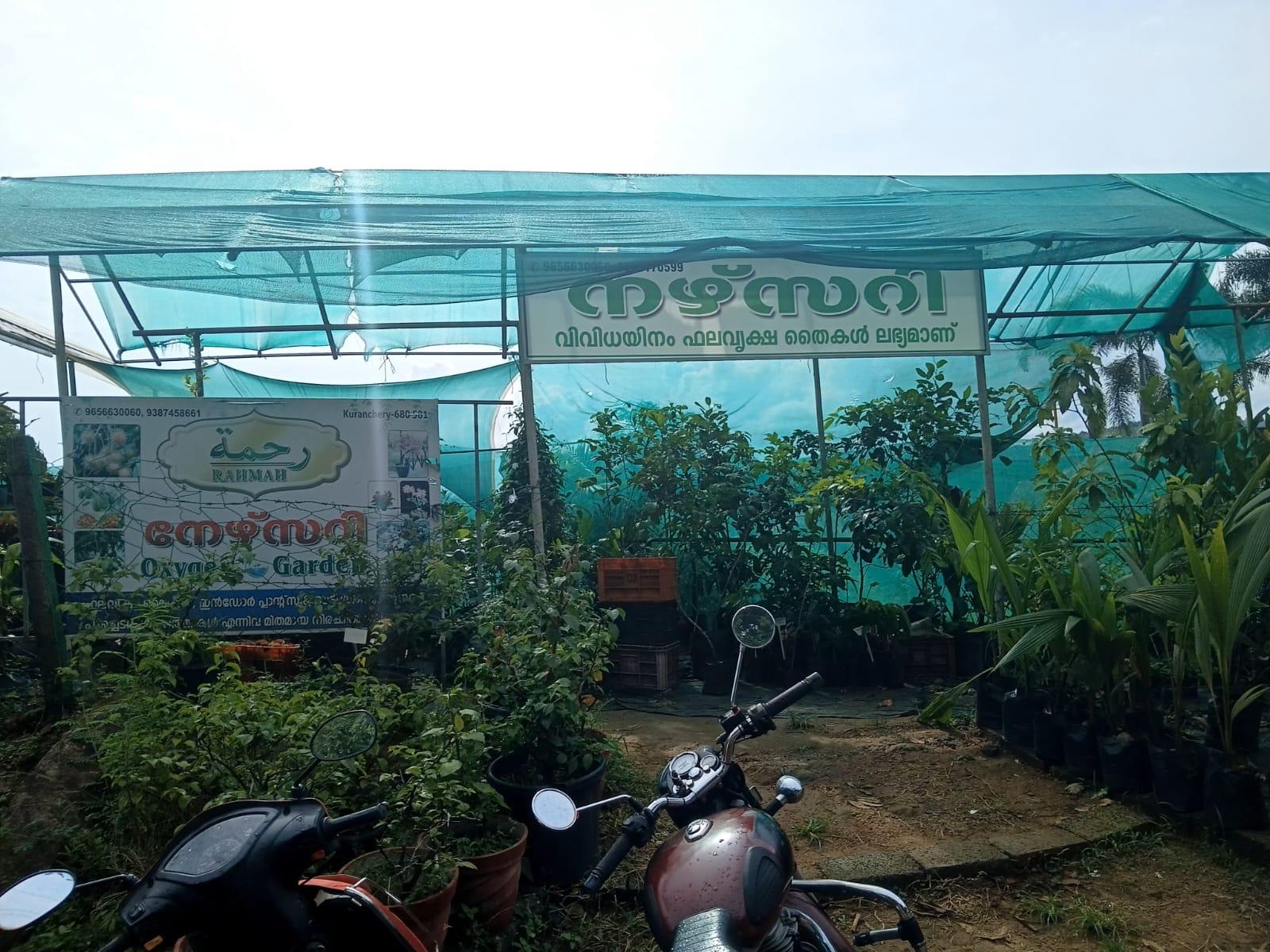 Oxygen Garden Nursury
